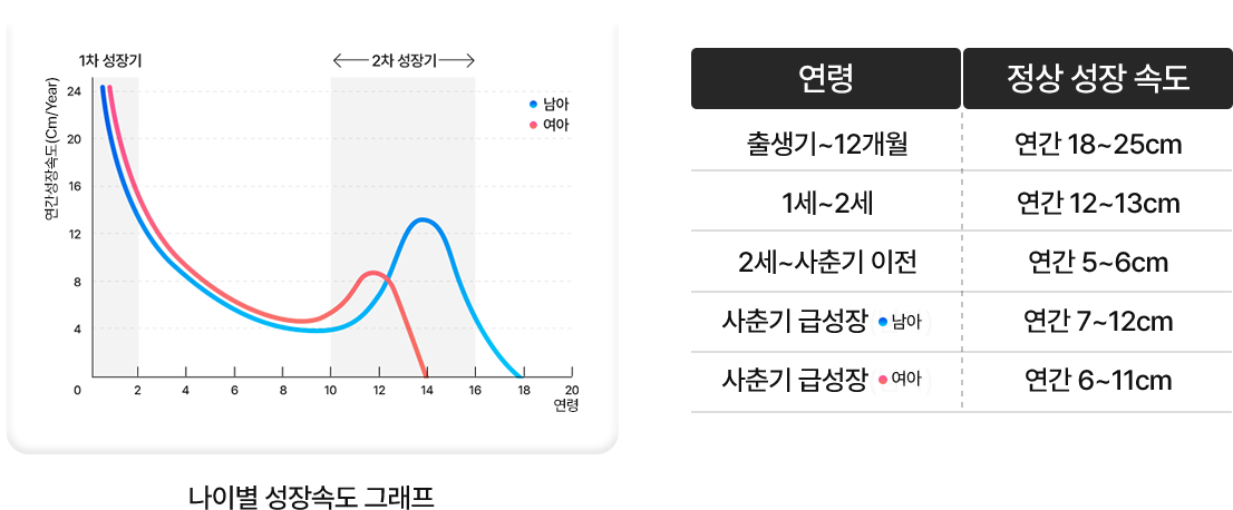 우리 아이 키 성장, 타이밍이 중요합니다. 